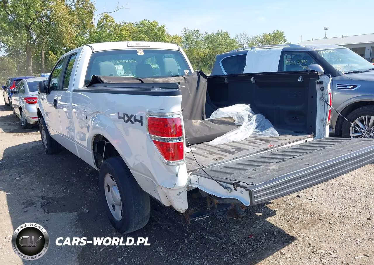 2010 Ford F-150 Xl VIN:1FTEX1E87AFB38915 - 3