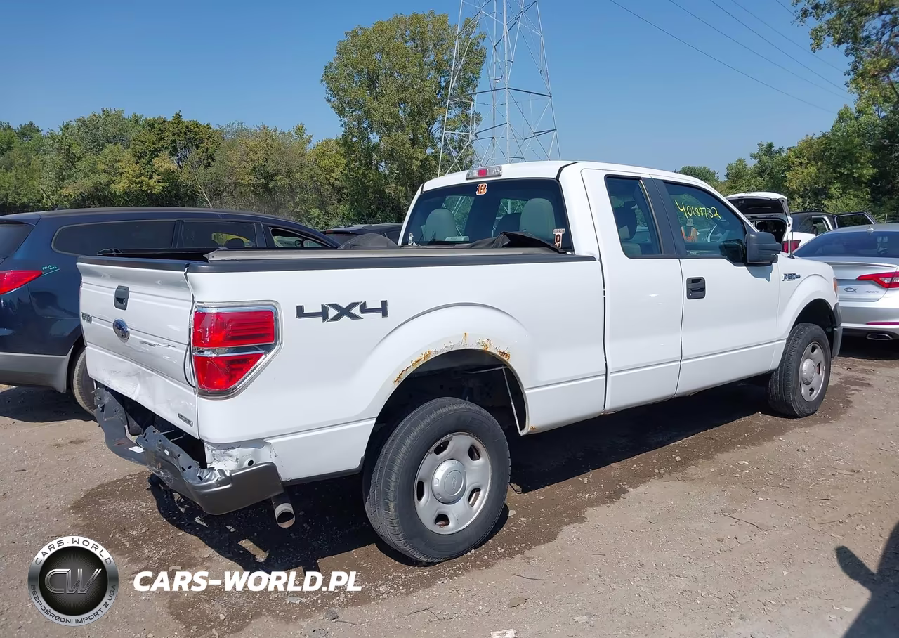 2010 Ford F-150 Xl VIN:1FTEX1E87AFB38915 - 4