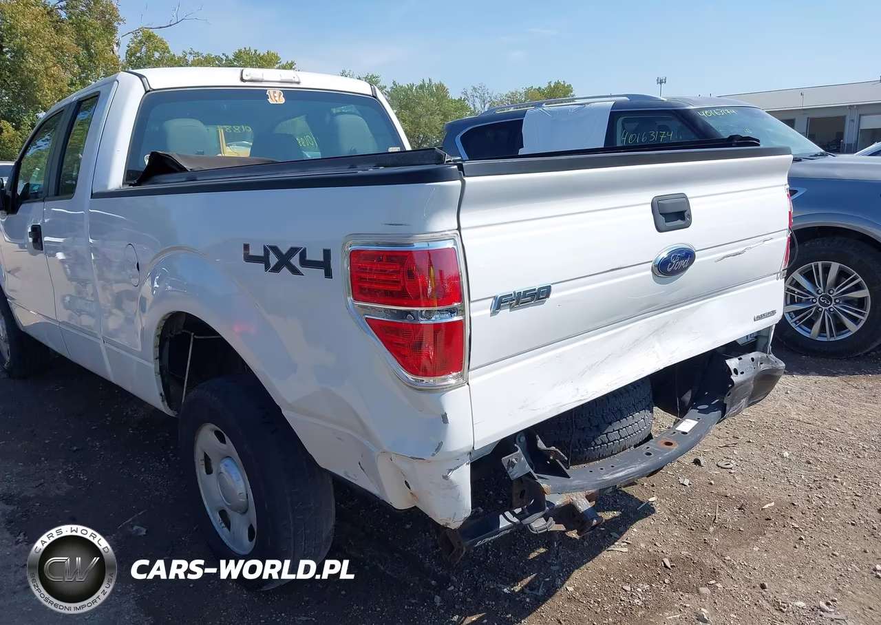2010 Ford F-150 Xl VIN:1FTEX1E87AFB38915 - 6