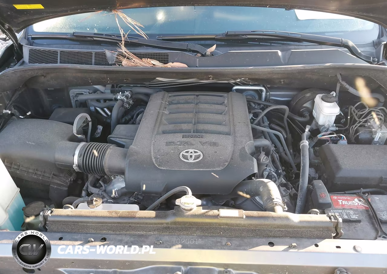 2017 Toyota Sequoia Platinum VIN:5TDDW5G14HS152822 - 10