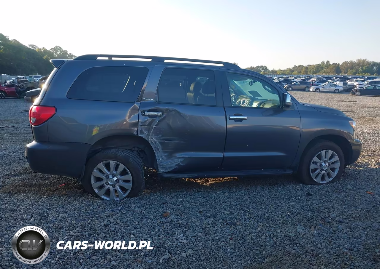 2017 Toyota Sequoia Platinum VIN:5TDDW5G14HS152822 - 13