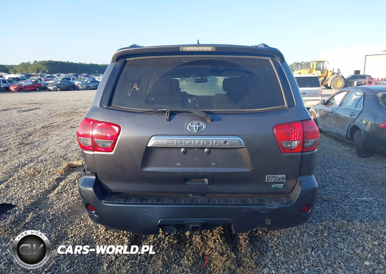 2017 Toyota Sequoia Platinum VIN:5TDDW5G14HS152822 - 16