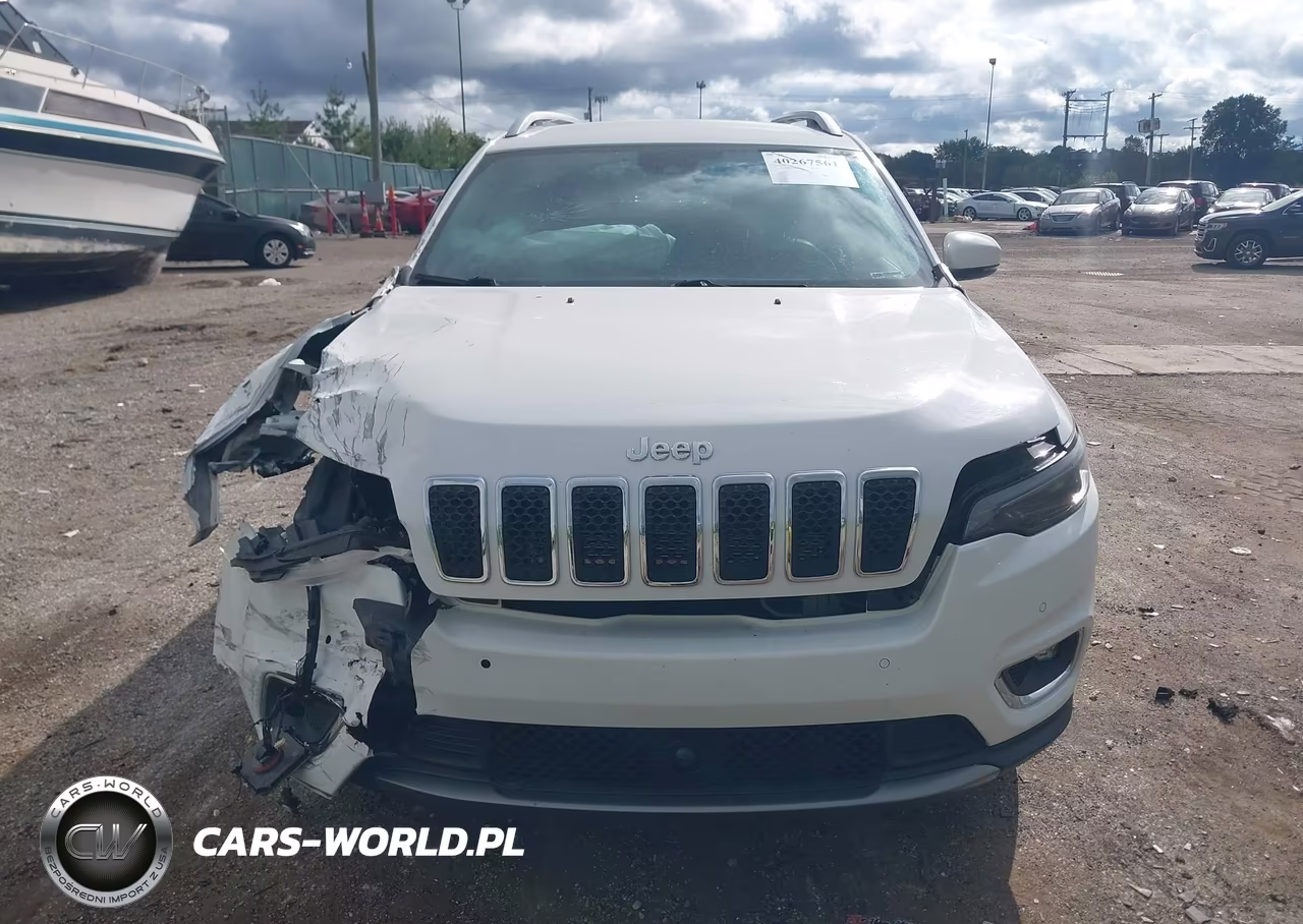 2019 Jeep Cherokee Limited 4X4 VIN:MVIN391267IND - 12