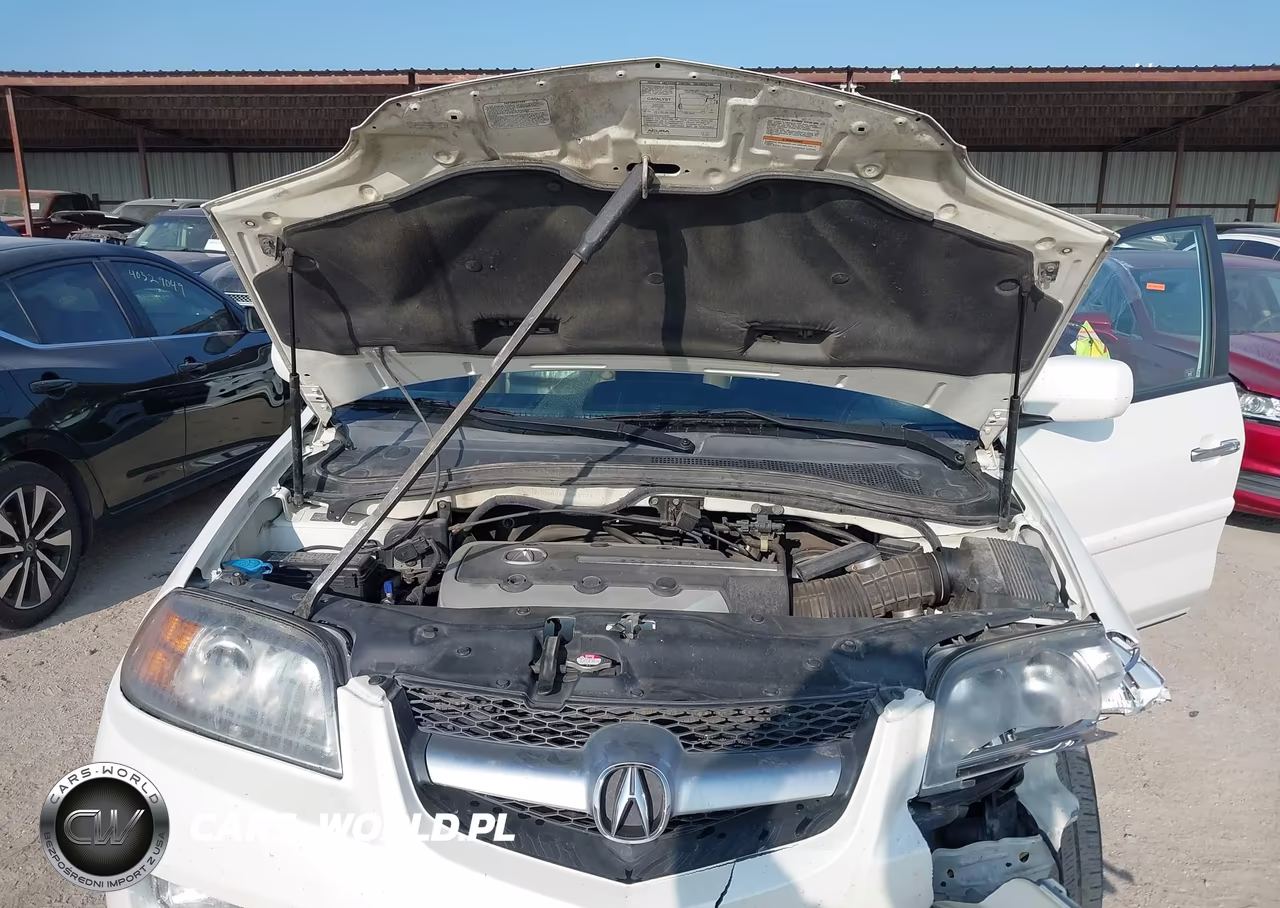 2006 Acura Mdx VIN:2HNYD18646H546773 - 10