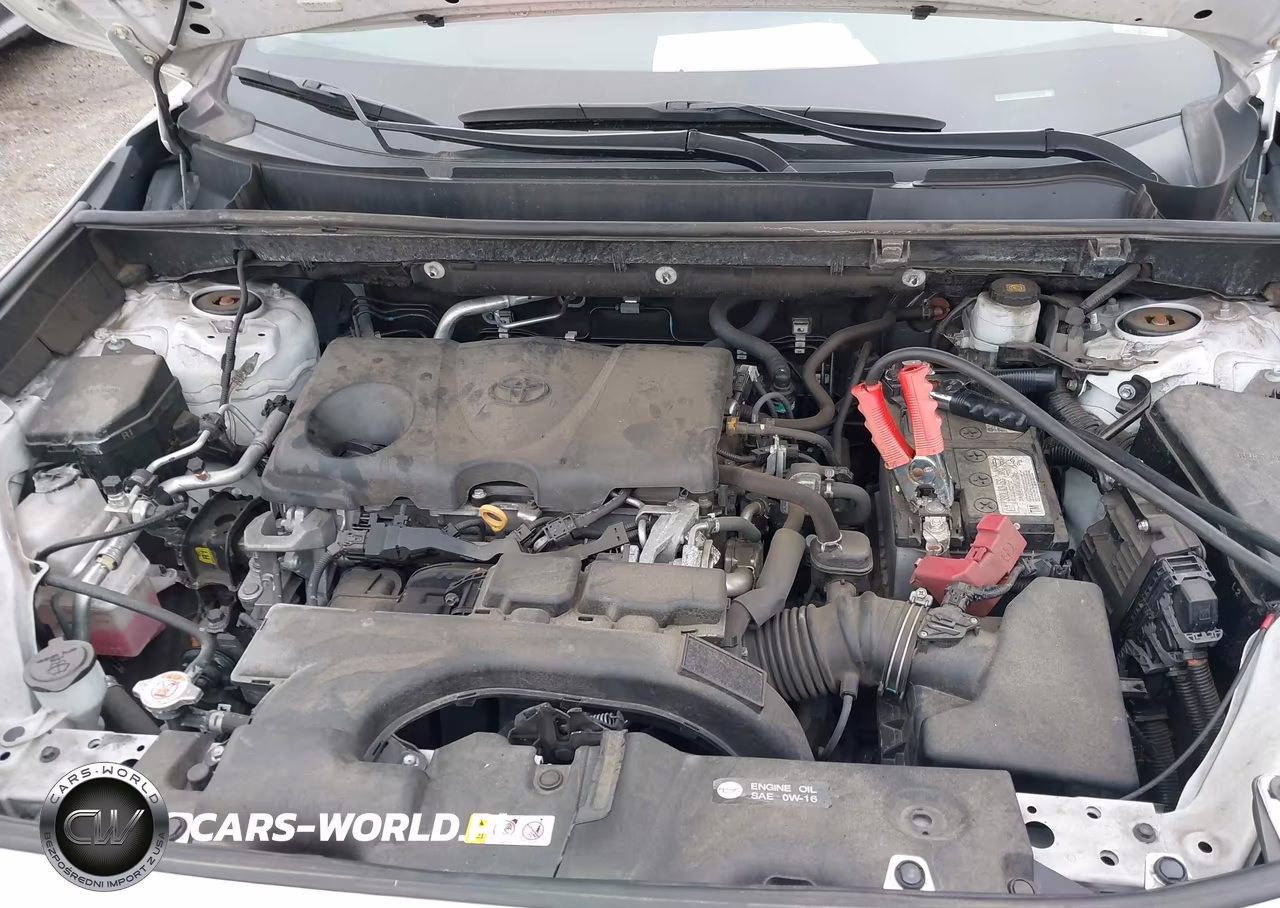 2020 Toyota Rav4 Xle VIN:2T3P1RFVXLW106930 - 10