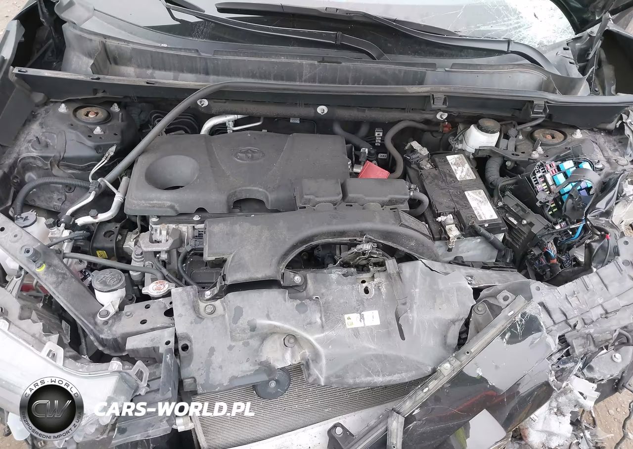 2019 Toyota Rav4 Le VIN:2T3F1RFV3KW018666 - 10