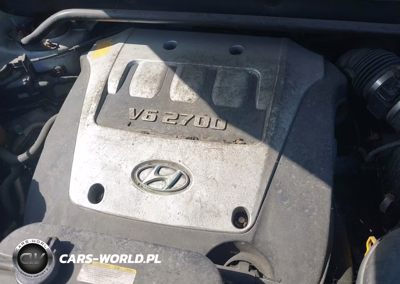 2006 Hyundai Tucson Gls-Limited VIN:KM8JN72D66U340491 - 10
