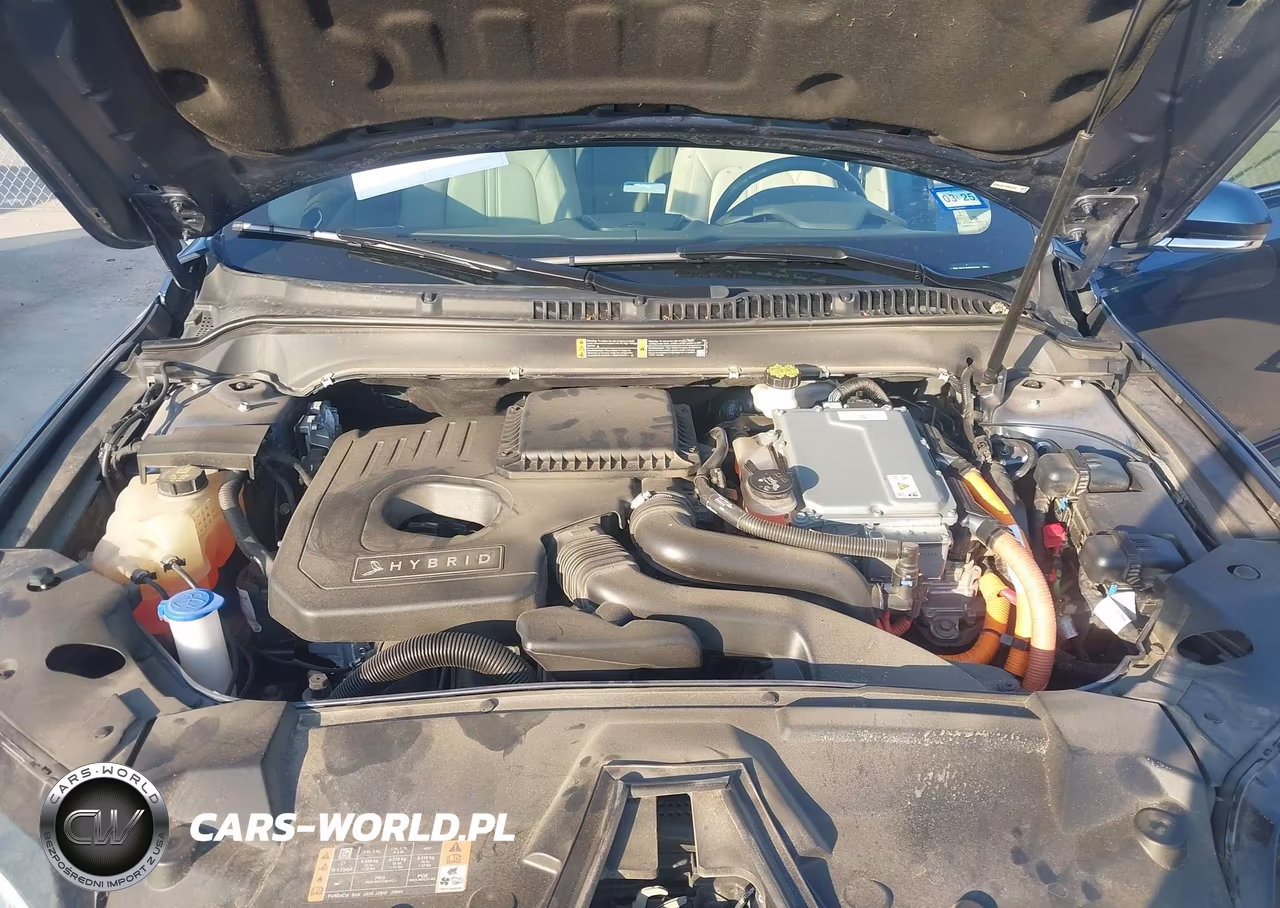 2019 Lincoln Mkz Hybrid Standard VIN:3LN6L5KU1KR632258 - 10