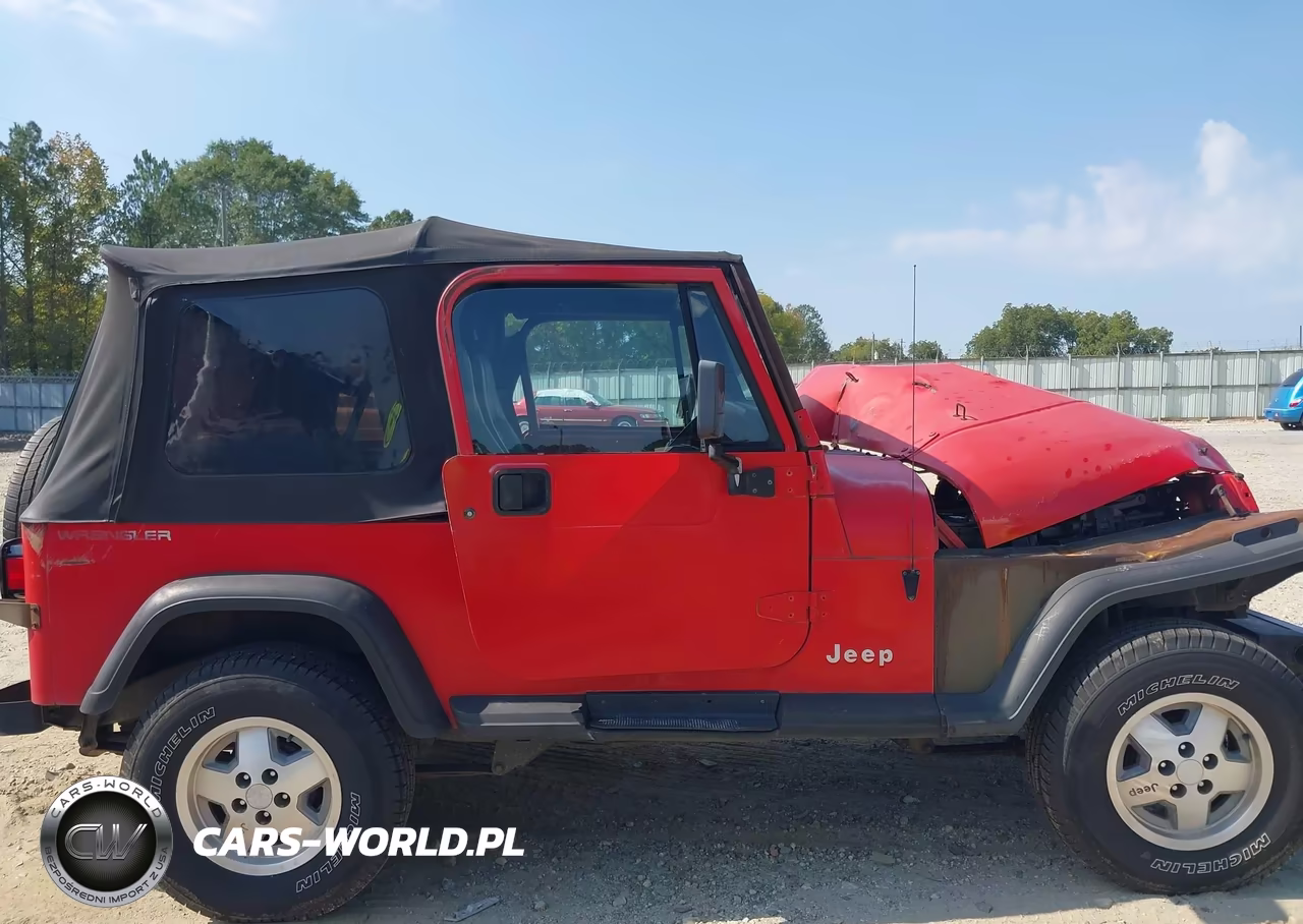 1995 Jeep Wrangler - Yj Se VIN:1J4FY29S4SP202850 - 13