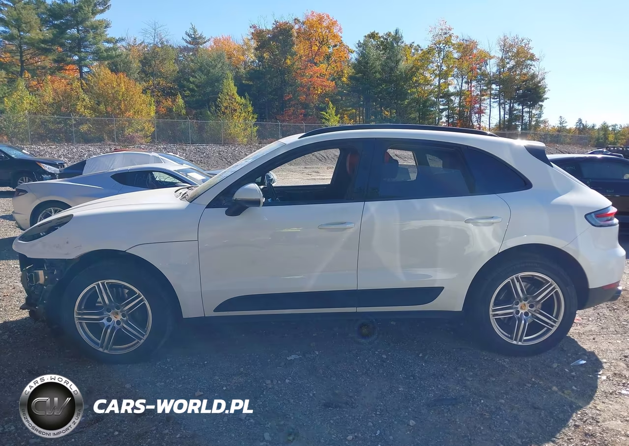 2020 Porsche Macan VIN:WP1AA2A57LLB04462 - 15