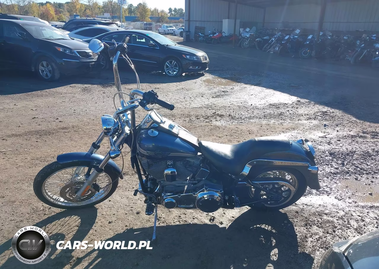 2003 Harley-Davidson Fxsti VIN:1HD1BVB183Y048299 - 12