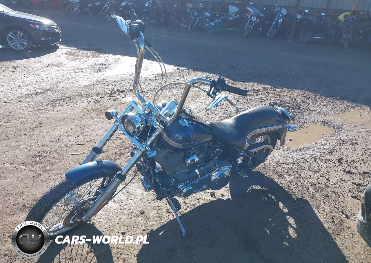 2003 Harley-Davidson Fxsti VIN:1HD1BVB183Y048299 - 2