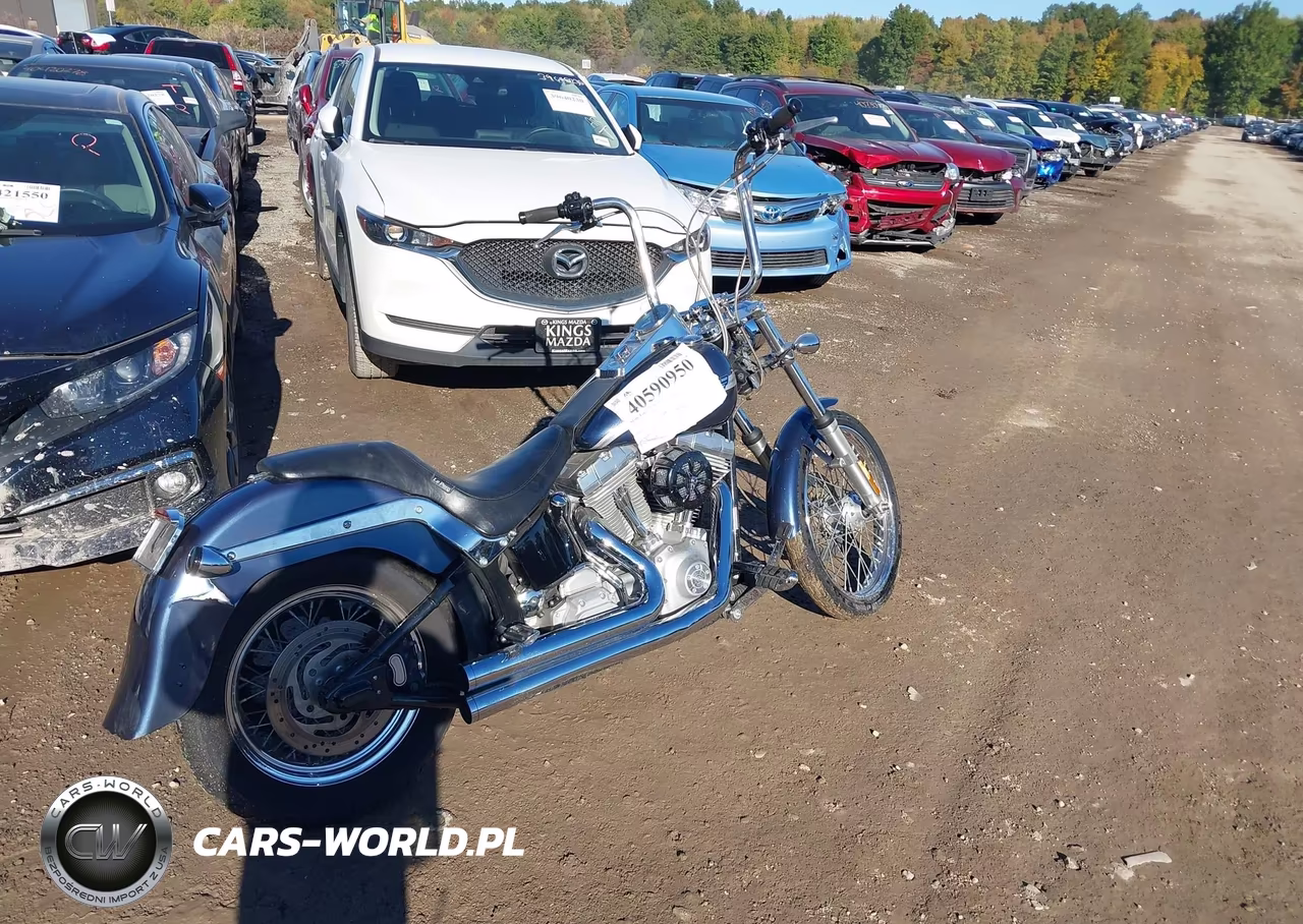 2003 Harley-Davidson Fxsti VIN:1HD1BVB183Y048299 - 4