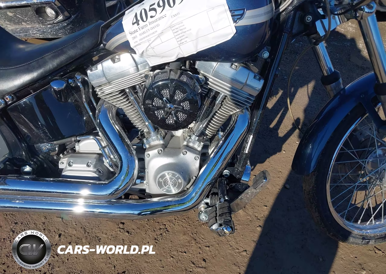 2003 Harley-Davidson Fxsti VIN:1HD1BVB183Y048299 - 8