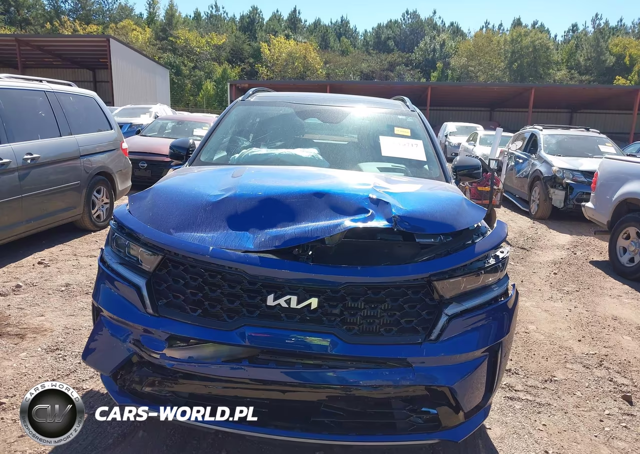2023 Kia Sorento Sx VIN:5XYRK4LF7PG230793 - 12