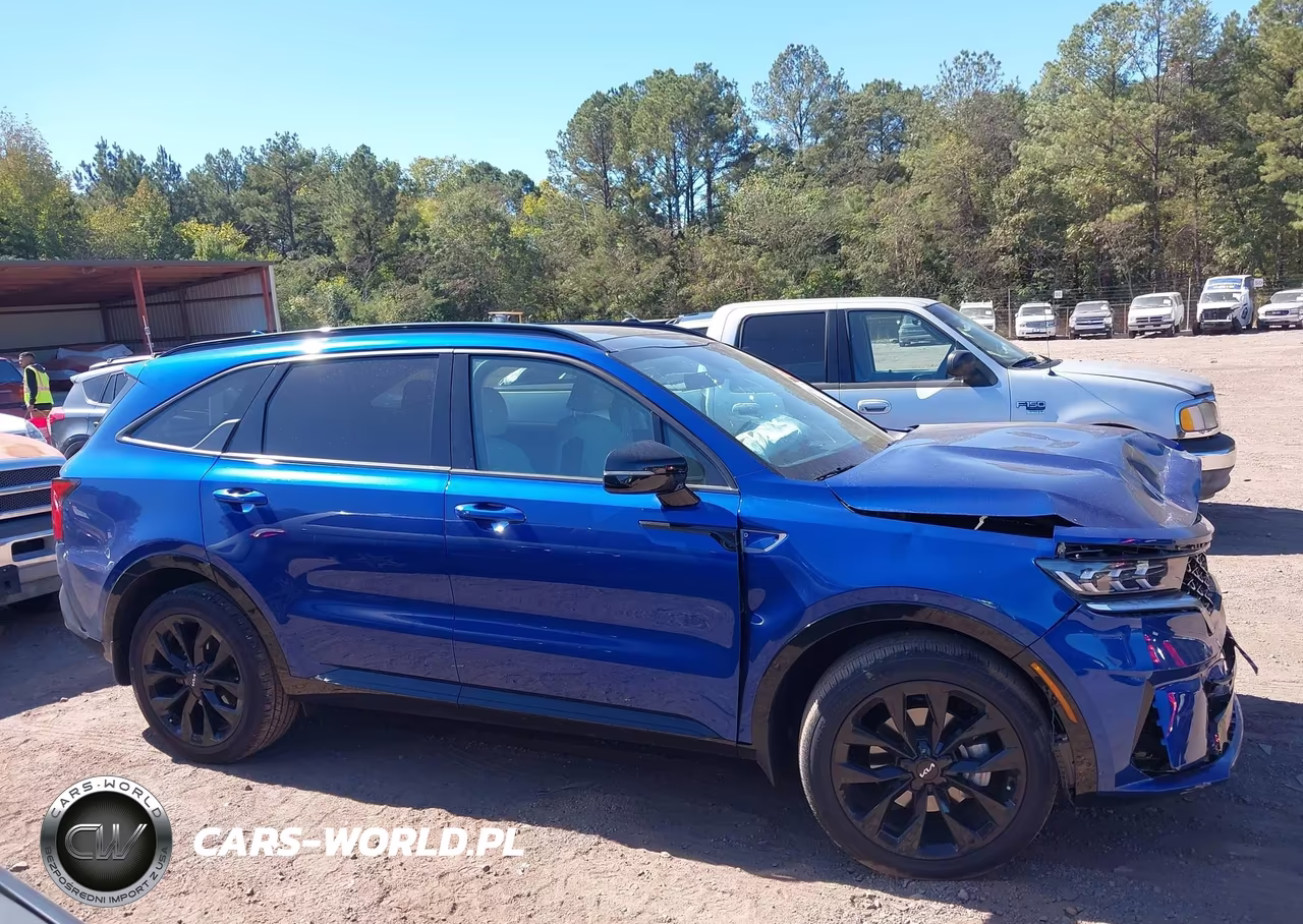 2023 Kia Sorento Sx VIN:5XYRK4LF7PG230793 - 13