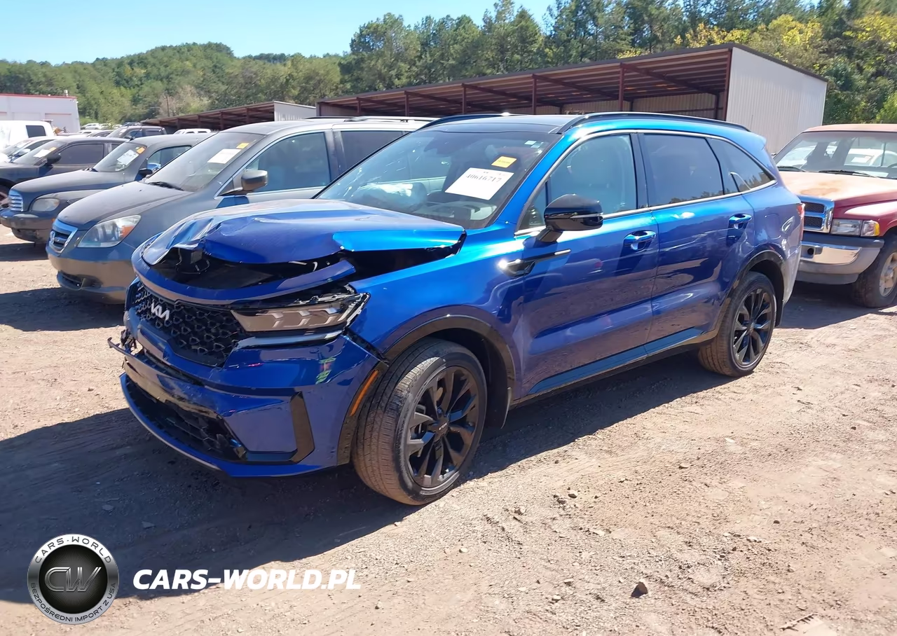 2023 Kia Sorento Sx VIN:5XYRK4LF7PG230793 - 2