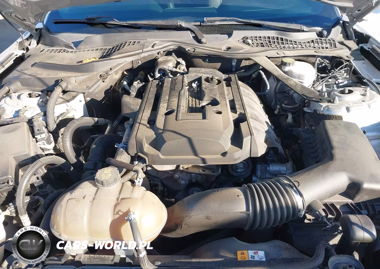 2018 Ford Mustang Ecoboost Premium VIN:1FATP8UH4J5142434 - 10
