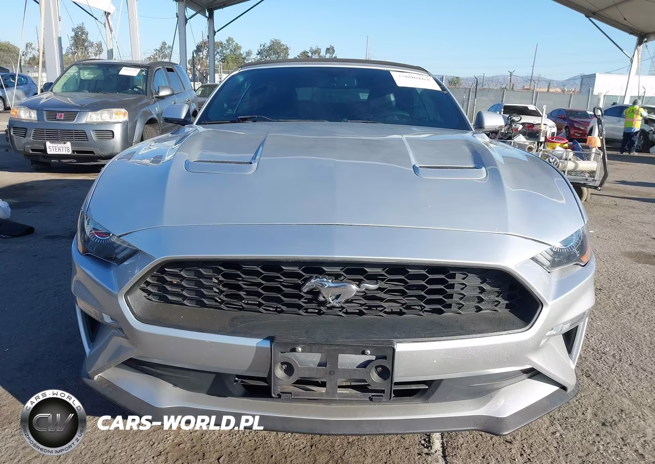 2018 Ford Mustang Ecoboost Premium VIN:1FATP8UH4J5142434 - 12