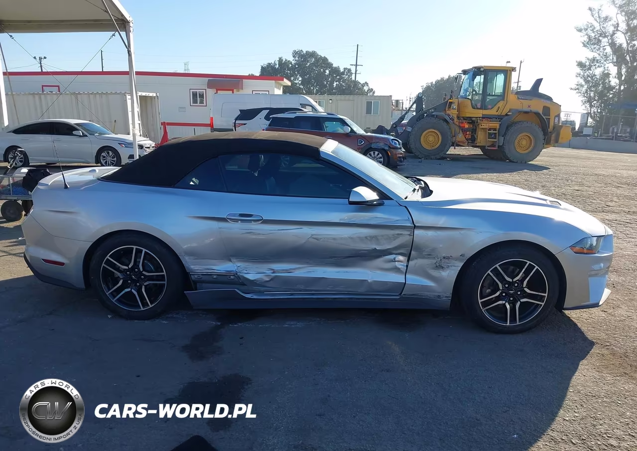 2018 Ford Mustang Ecoboost Premium VIN:1FATP8UH4J5142434 - 13