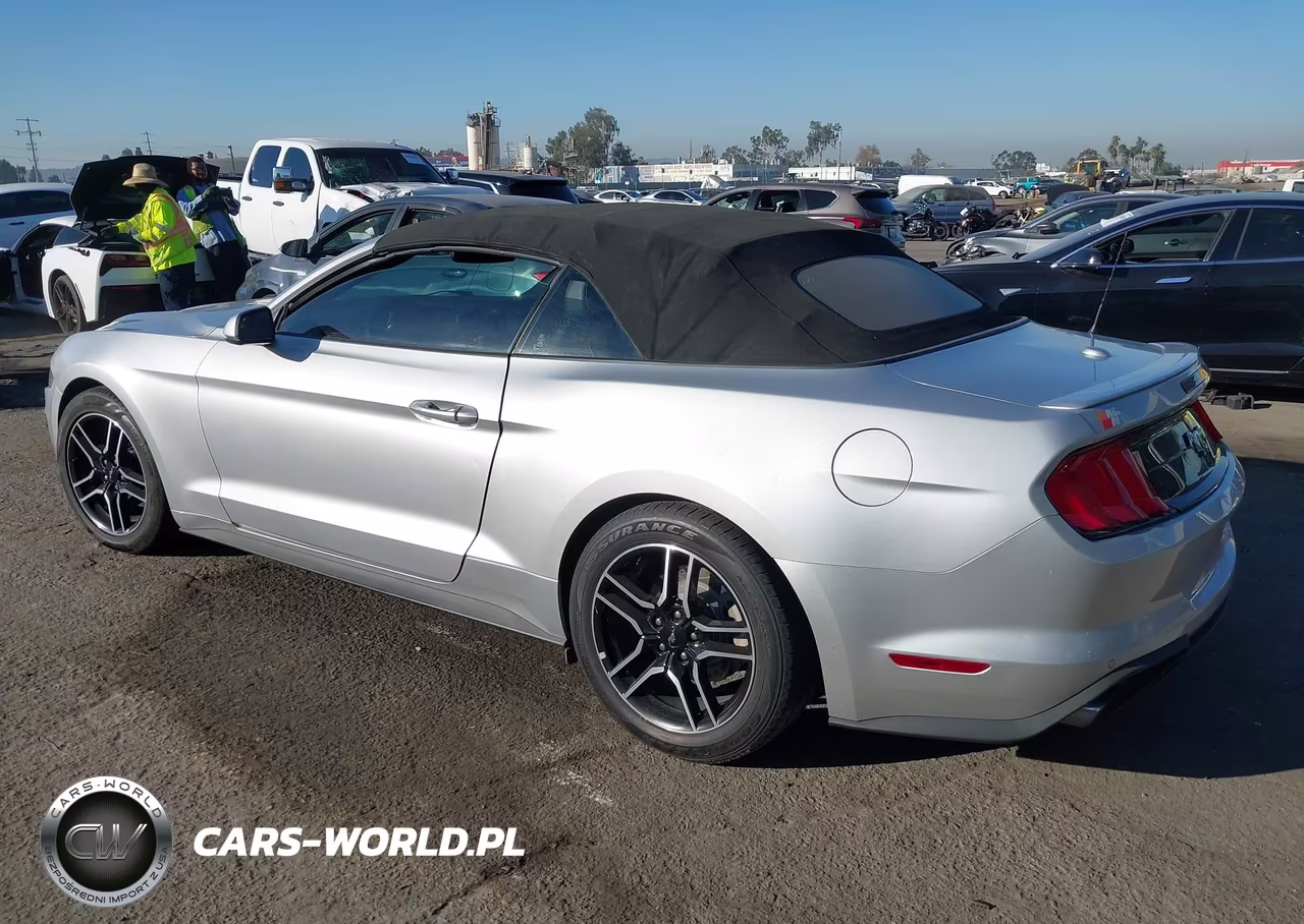 2018 Ford Mustang Ecoboost Premium VIN:1FATP8UH4J5142434 - 3