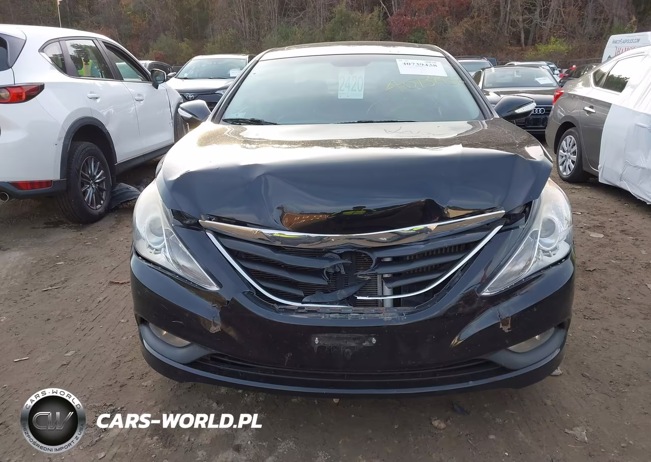 2014 Hyundai Sonata Limited VIN:5NPEC4AB6EH835356 - 12