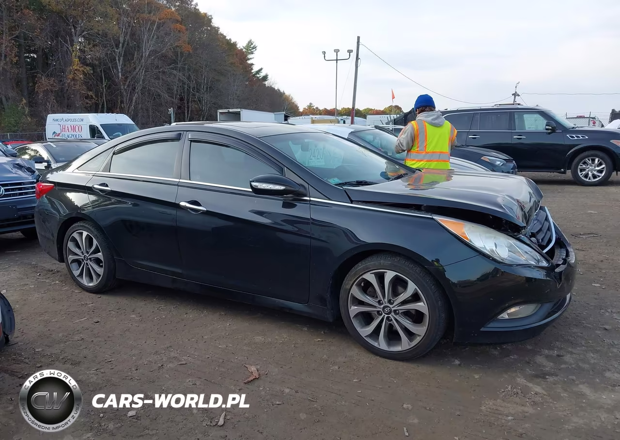 2014 Hyundai Sonata Limited VIN:5NPEC4AB6EH835356 - 13