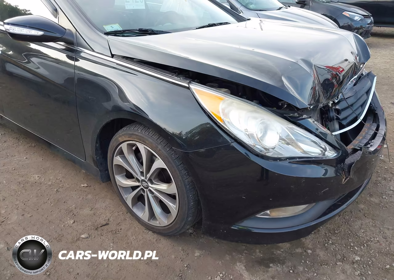 2014 Hyundai Sonata Limited VIN:5NPEC4AB6EH835356 - 18