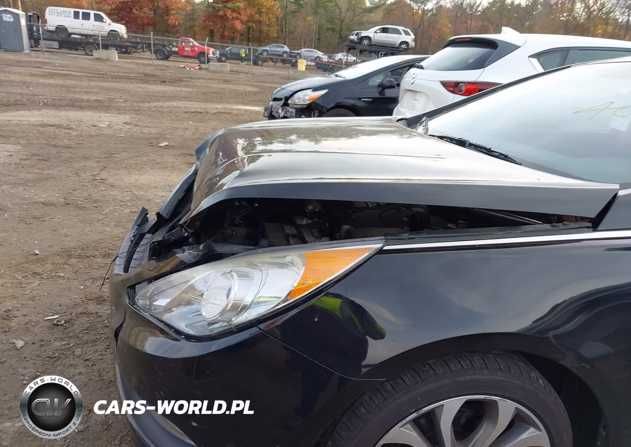 2014 Hyundai Sonata Limited VIN:5NPEC4AB6EH835356 - 19