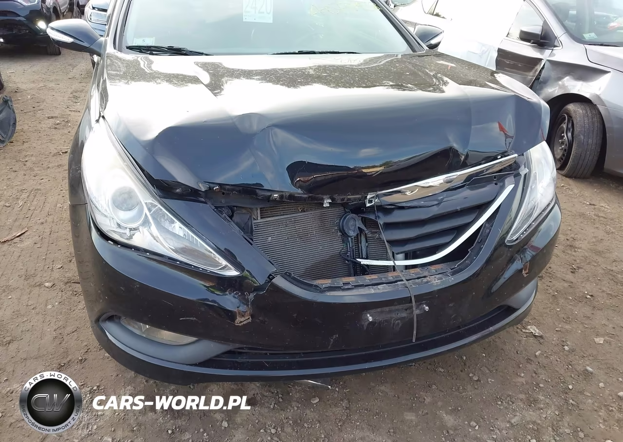 2014 Hyundai Sonata Limited VIN:5NPEC4AB6EH835356 - 6