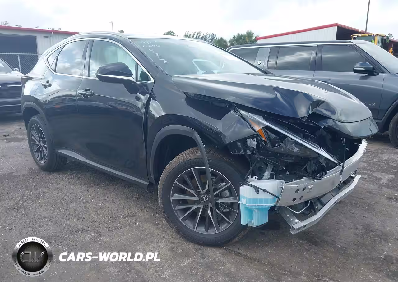 2025 Lexus Nx 250