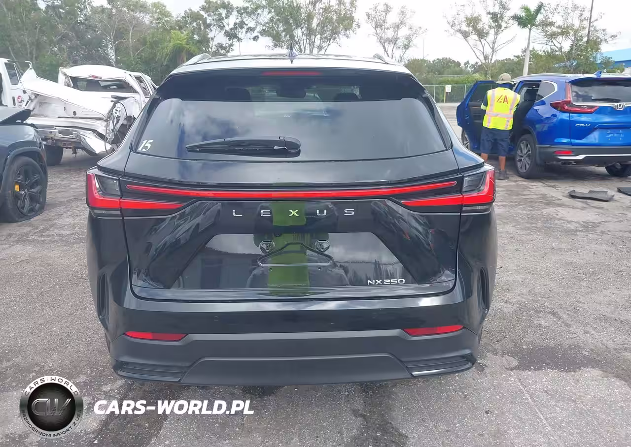2025 Lexus Nx 250 VIN:2T2ADCAZ9SC018640 - 17