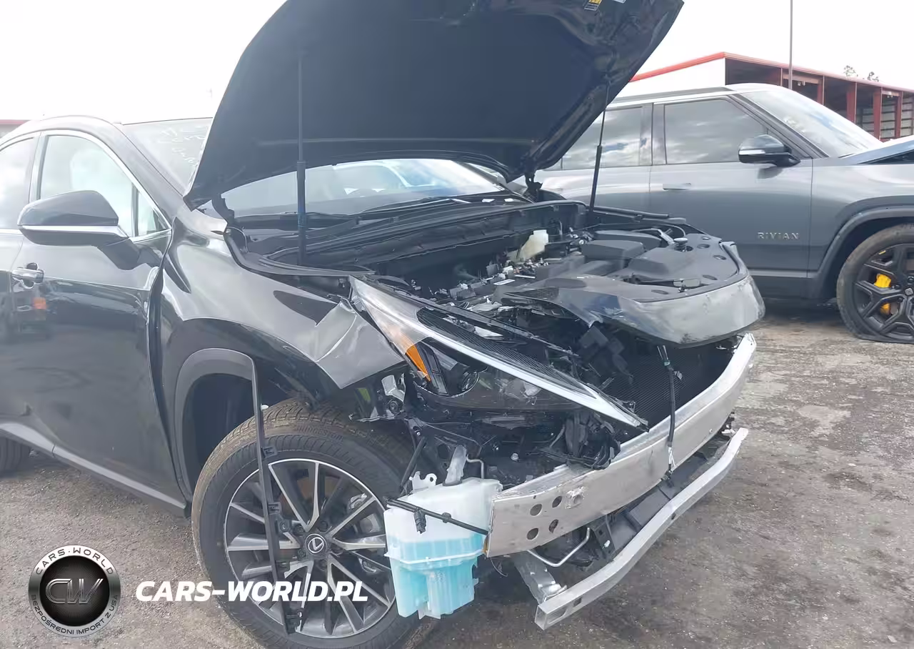 2025 Lexus Nx 250 VIN:2T2ADCAZ9SC018640 - 18