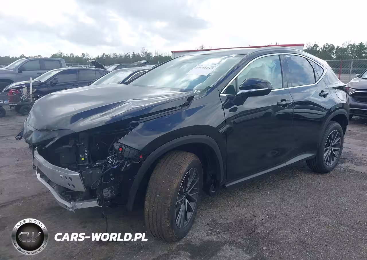 2025 Lexus Nx 250 VIN:2T2ADCAZ9SC018640 - 2