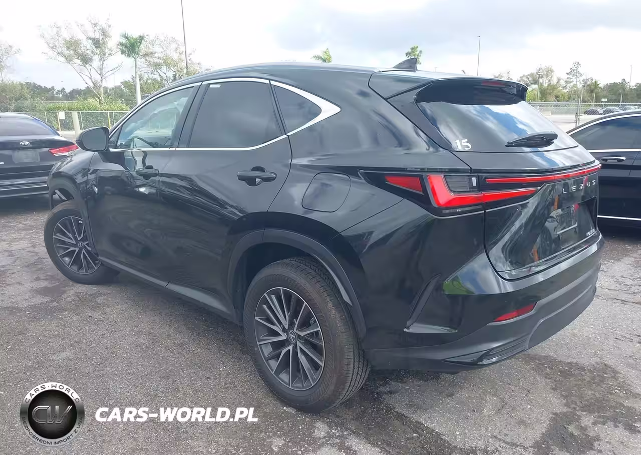 2025 Lexus Nx 250 VIN:2T2ADCAZ9SC018640 - 3