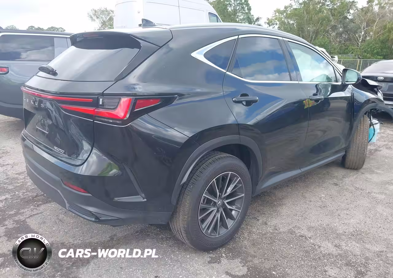 2025 Lexus Nx 250 VIN:2T2ADCAZ9SC018640 - 4