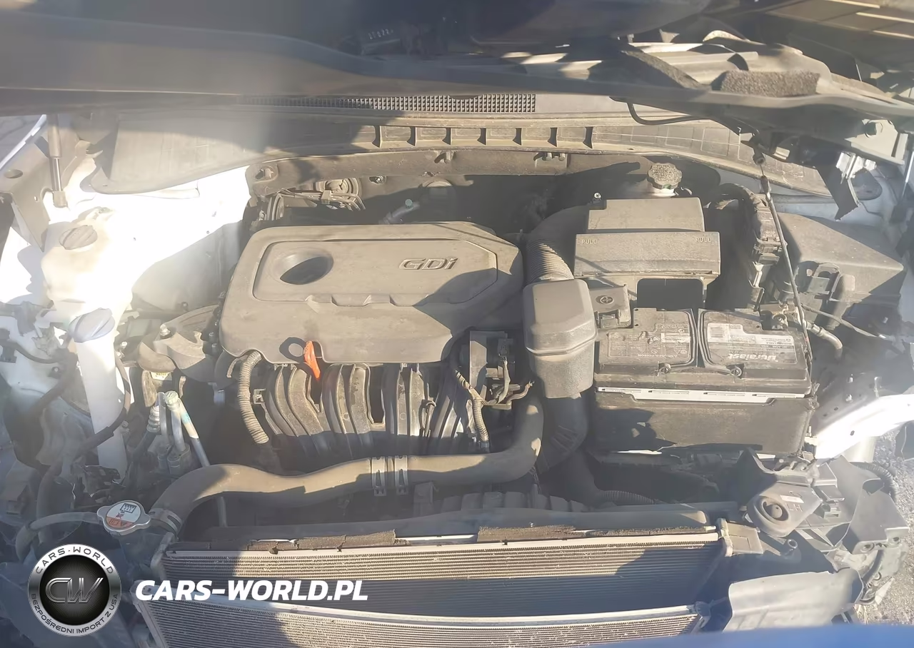 2016 Kia Sorento 2.4L Lx VIN:5XYPG4A3XGG055201 - 10