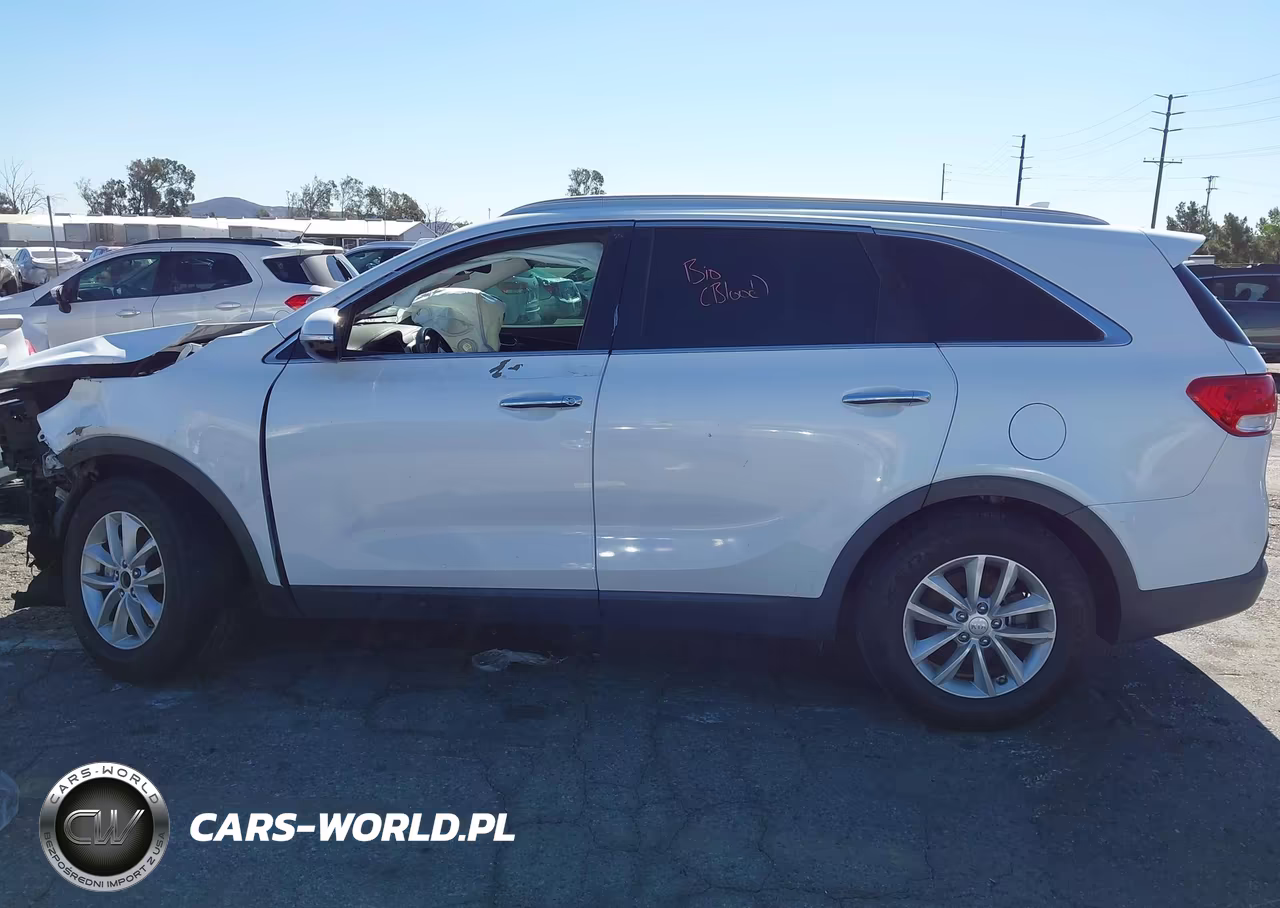 2016 Kia Sorento 2.4L Lx VIN:5XYPG4A3XGG055201 - 13