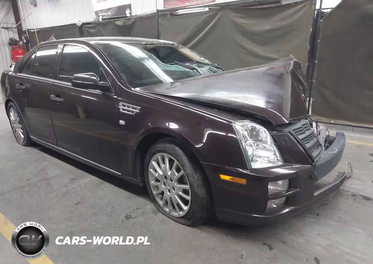2010 Cadillac Sts Performance
