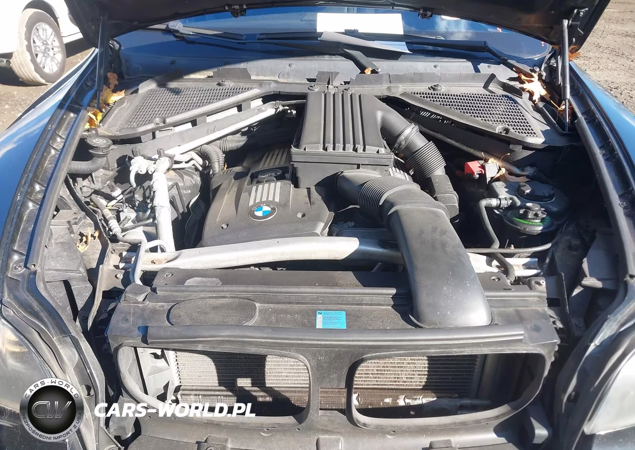 2009 BMW X5 xDrive30I VIN:5UXFE43529L271646 - 10