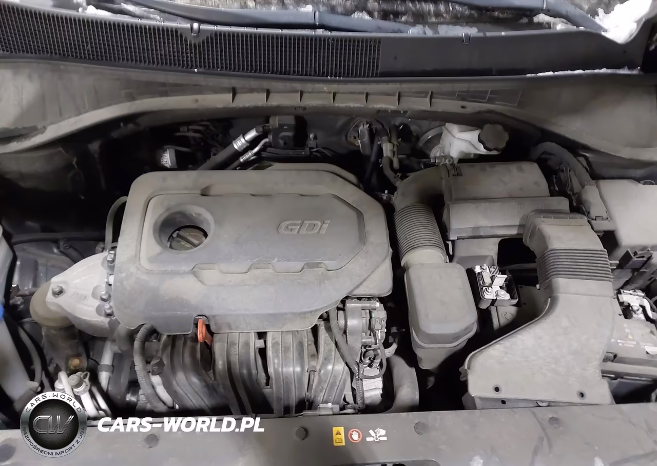 2019 Kia Sorento 2.4L Lx VIN:5XYPGDA37KG554577 - 10