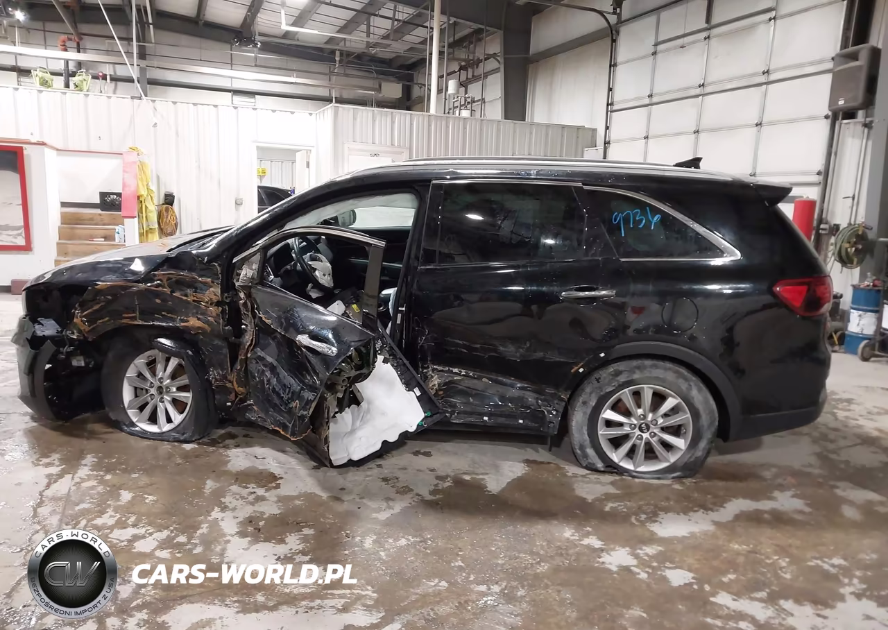 2019 Kia Sorento 2.4L Lx VIN:5XYPGDA37KG554577 - 14