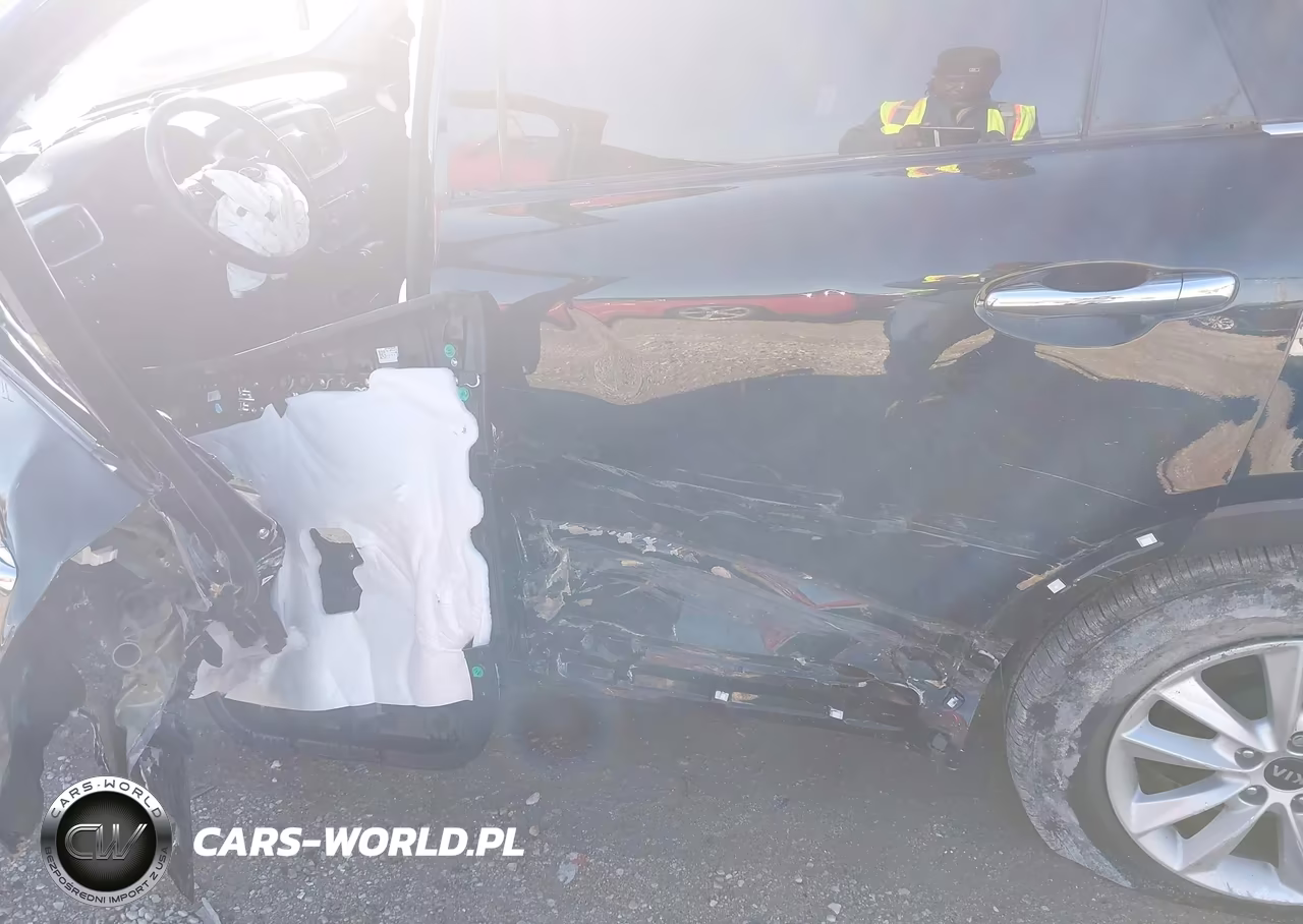 2019 Kia Sorento 2.4L Lx VIN:5XYPGDA37KG554577 - 17