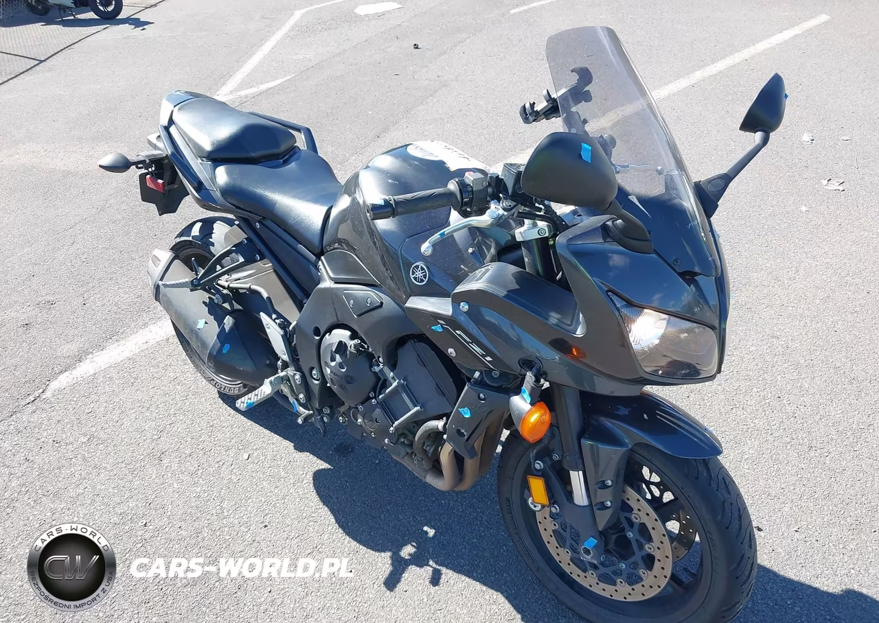 2015 Yamaha Fz1 S