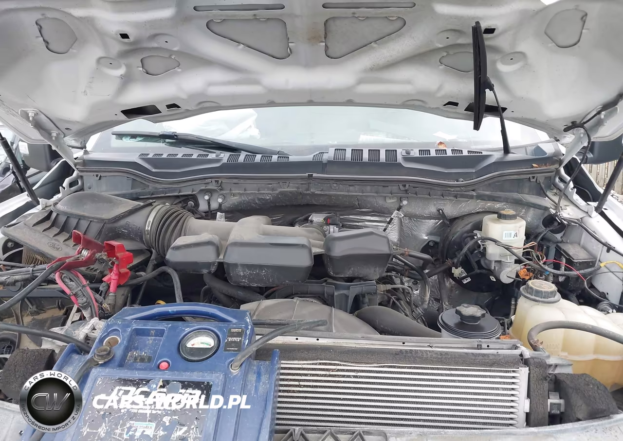 2019 Ford F-250 Xl VIN:1FT7X2B6XKEC84363 - 10