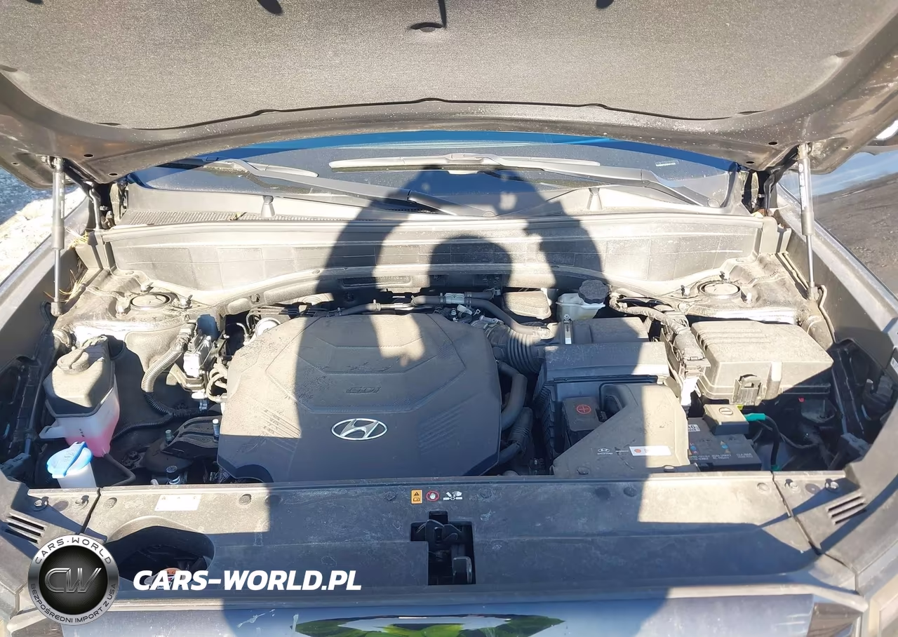 2023 Hyundai Palisade Limited VIN:KM8R5DGE8PU571820 - 10