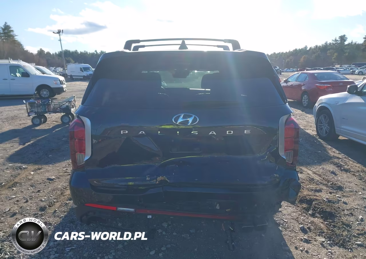 2023 Hyundai Palisade Limited VIN:KM8R5DGE8PU571820 - 17