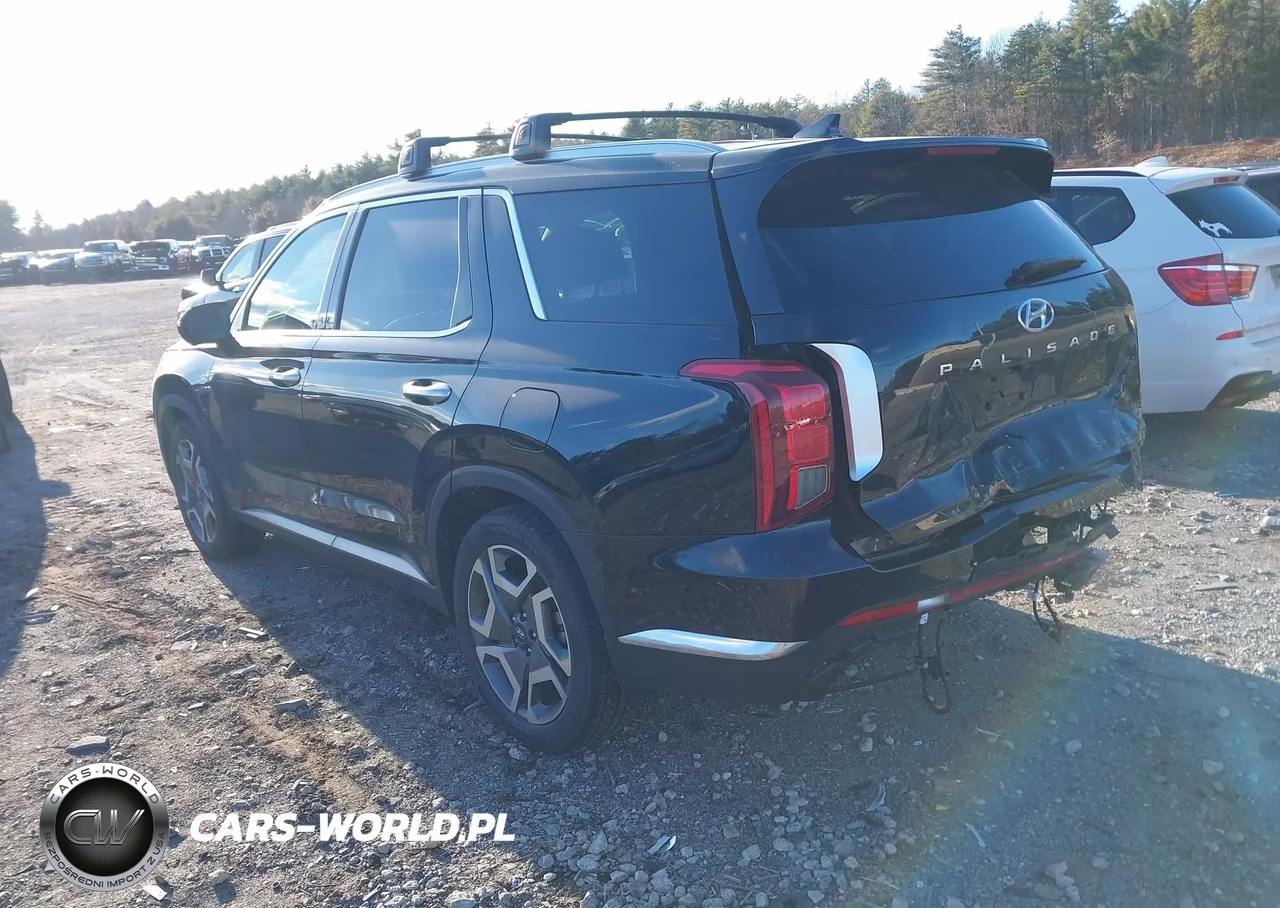 2023 Hyundai Palisade Limited VIN:KM8R5DGE8PU571820 - 3