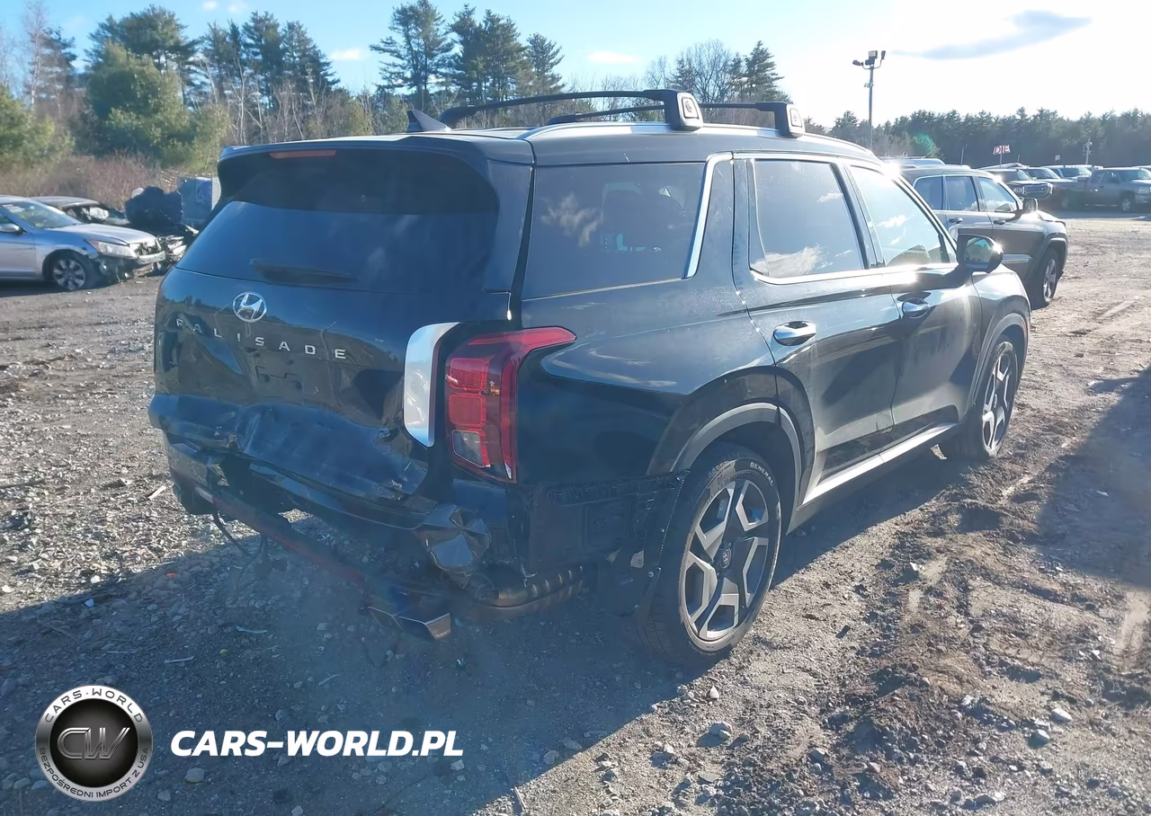 2023 Hyundai Palisade Limited VIN:KM8R5DGE8PU571820 - 4