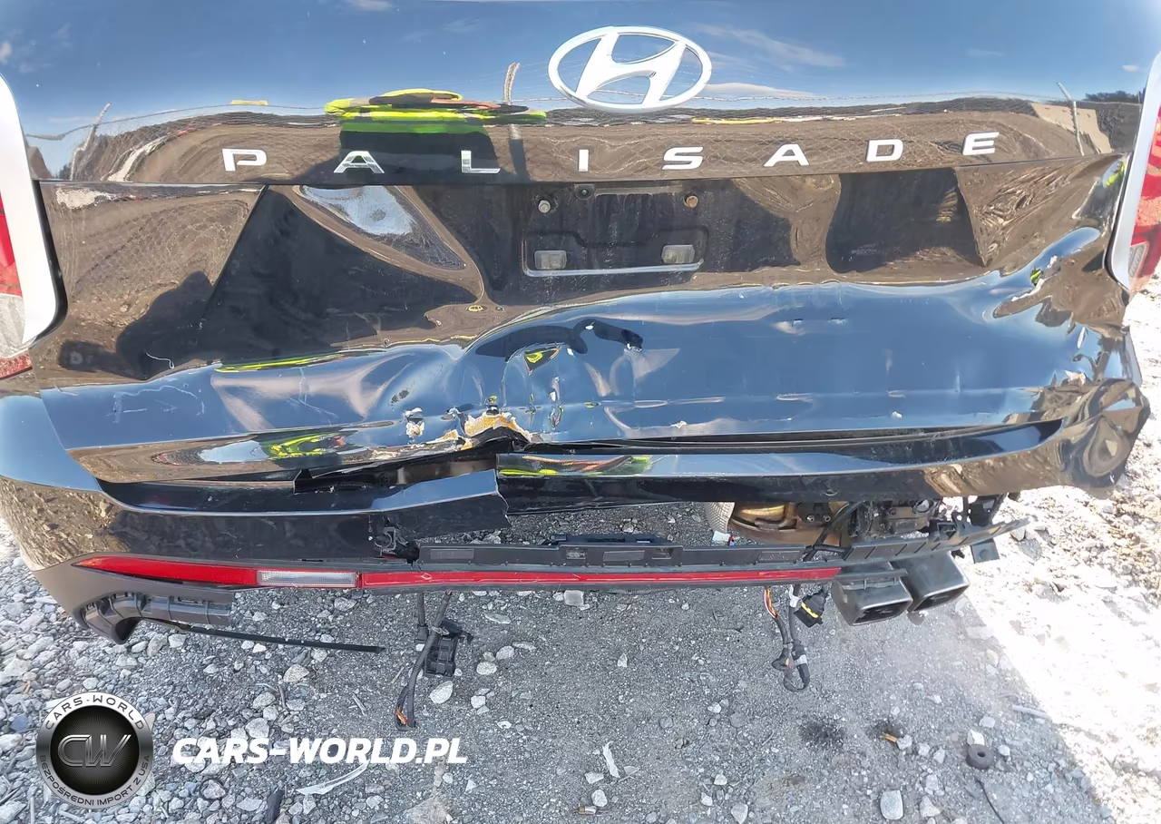 2023 Hyundai Palisade Limited VIN:KM8R5DGE8PU571820 - 6
